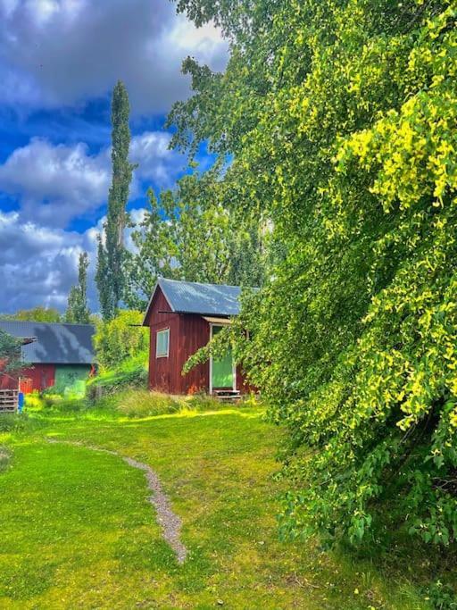 Hedehagens Hemlighet Vakantiehuis Mariestad